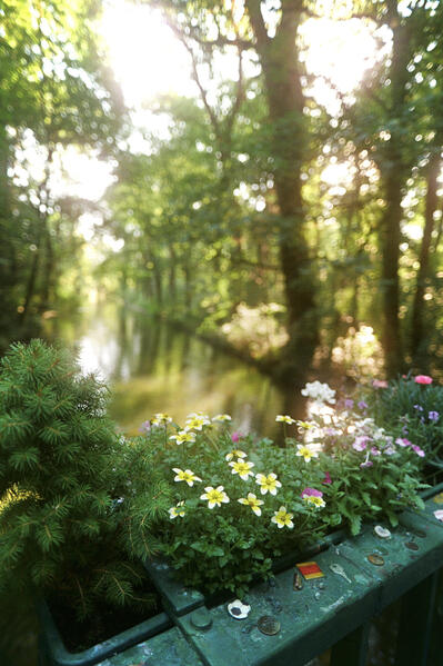 Englischer Garten